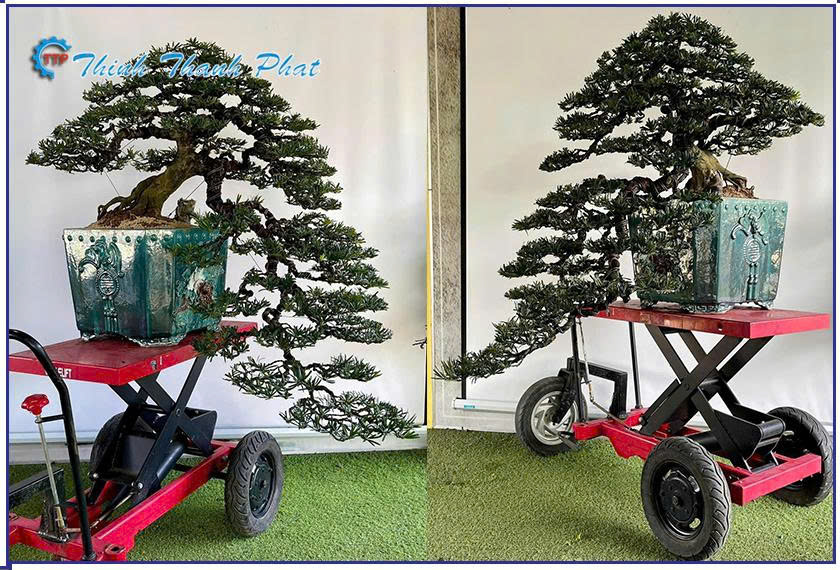 ban-nang-thuy-luc-mini